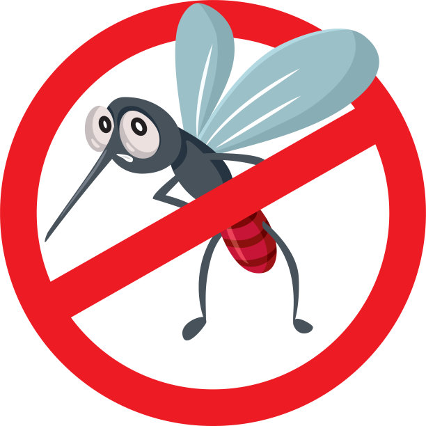 mosquito