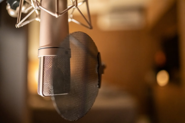 voice