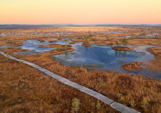 marsh