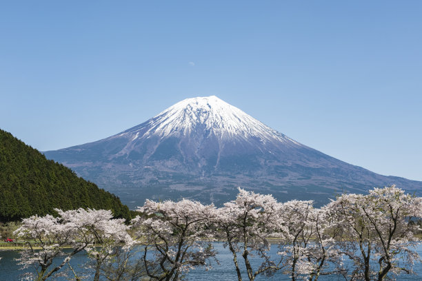 fuji