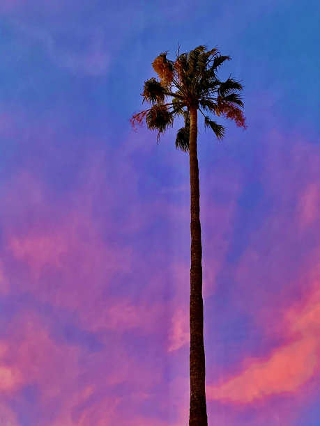 california