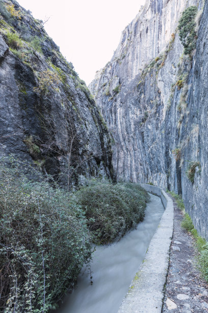 ditch
