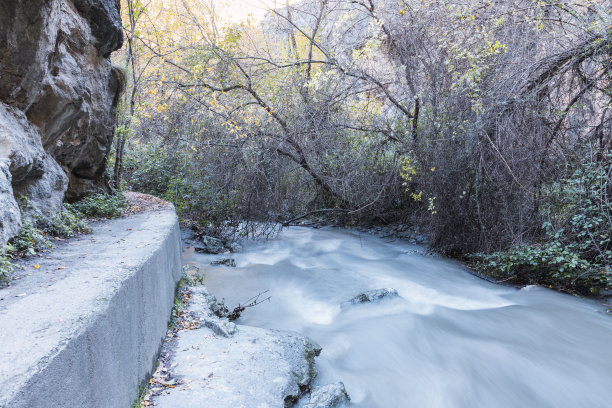 ditch
