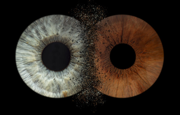 vision