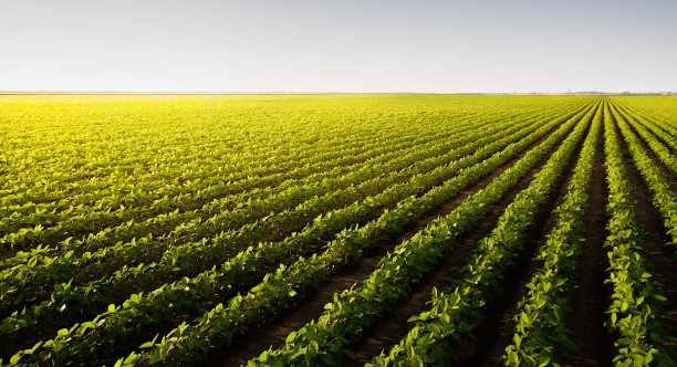 agricultural