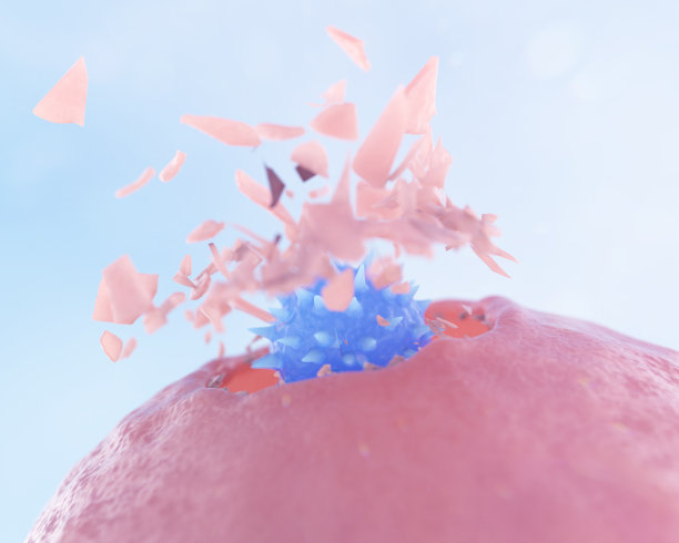 cd4