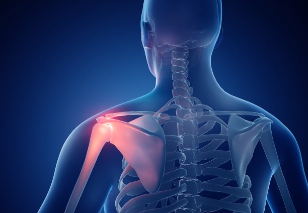 shoulder