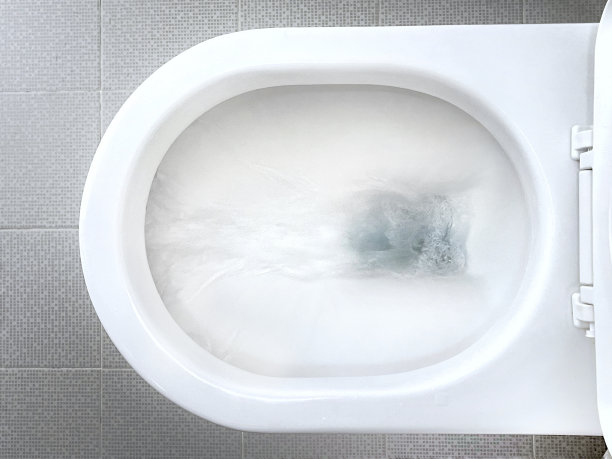 bidet