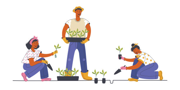plantation