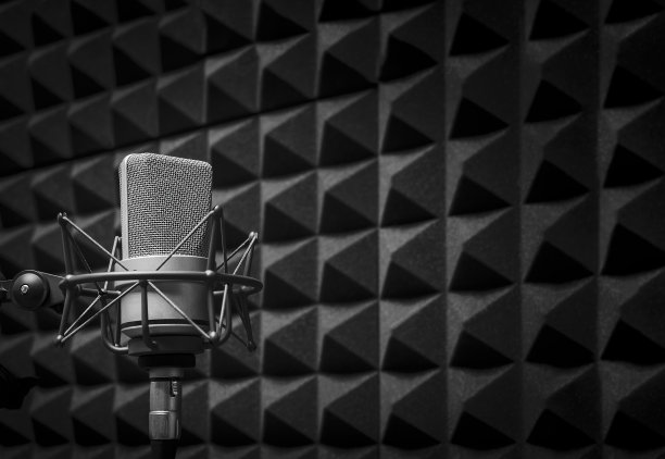 voice