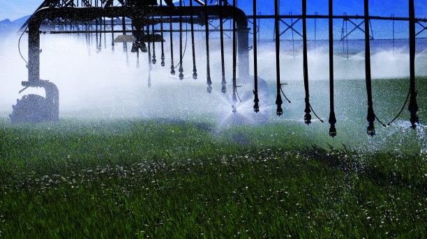 irrigation