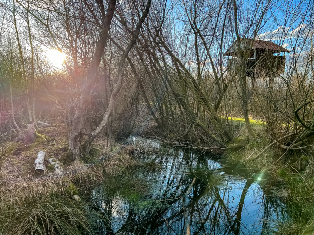 backwater