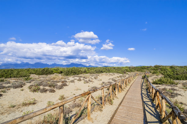 viareggio
