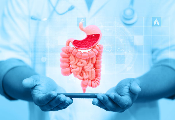 digestion