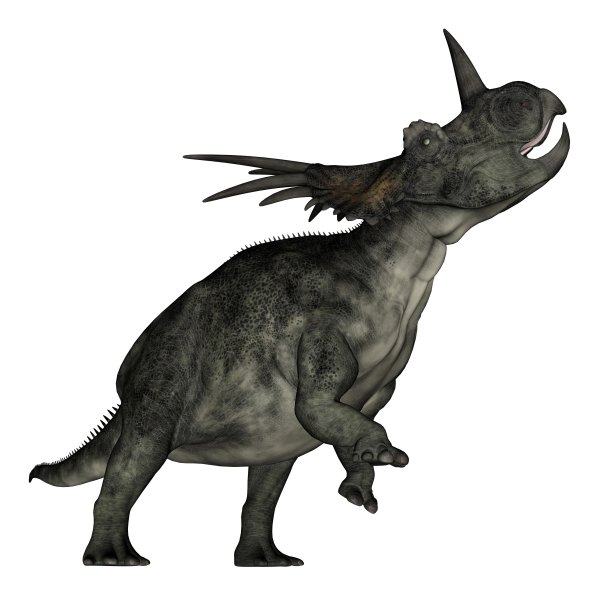 horned
