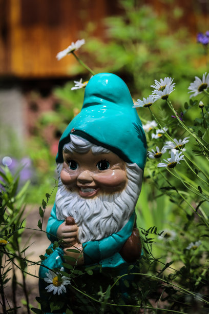gnome