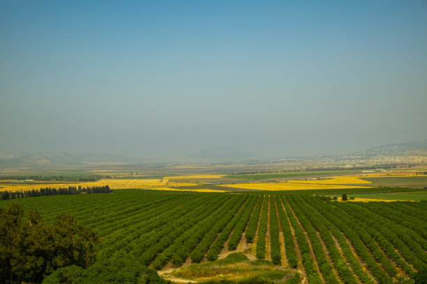 druze