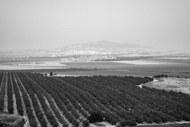 druze