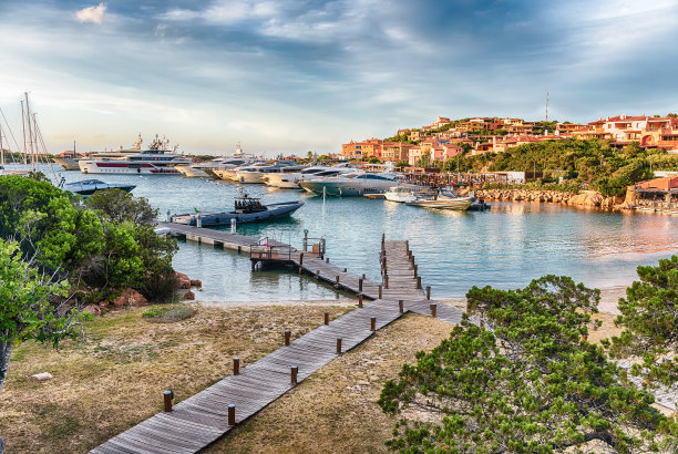 cervo