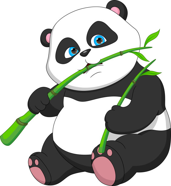 panda