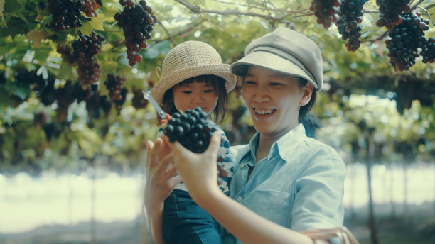 摘葡萄的少女