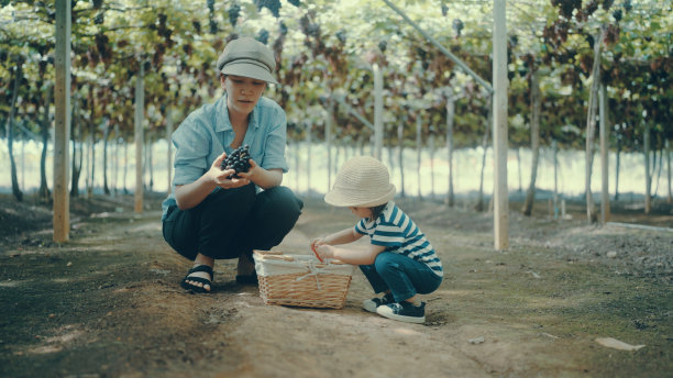 摘葡萄的少女
