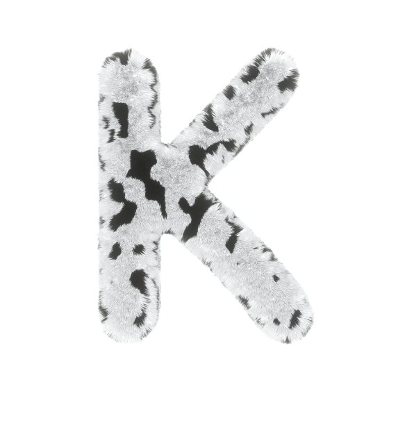 dalmatian
