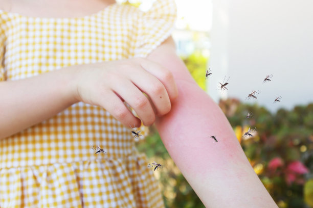 夏季幼儿疾病预防