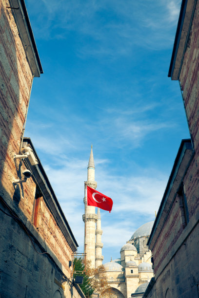 turkey