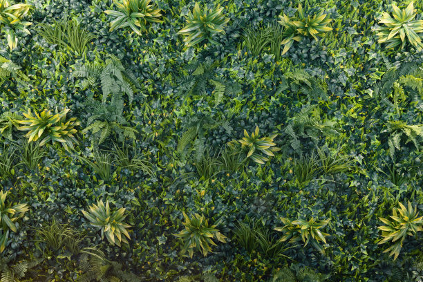 overgrown