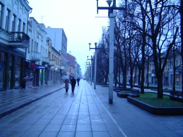 2005