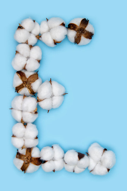 字母白蓝印花