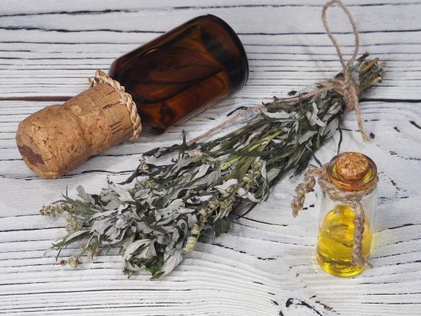 mugwort