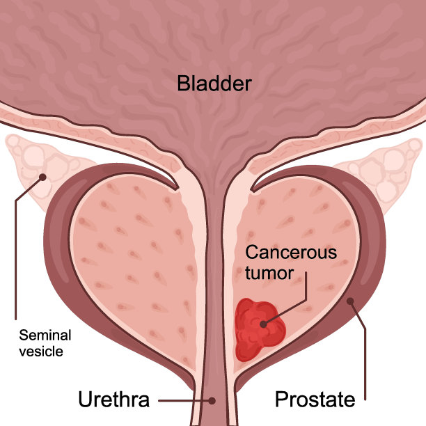扁平矢量人物绘制