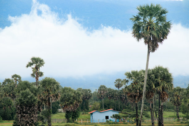 kampot