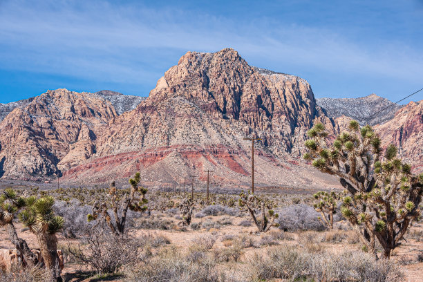 nv