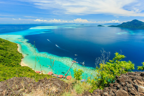 borneo
