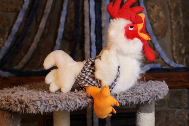 cock