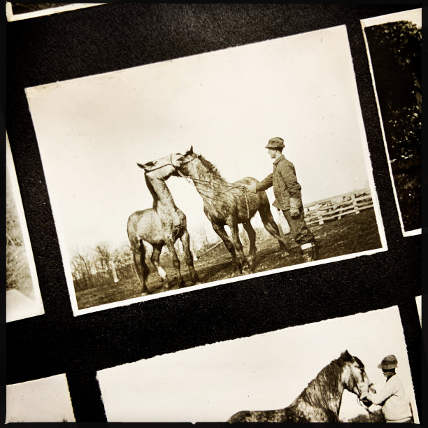 1916