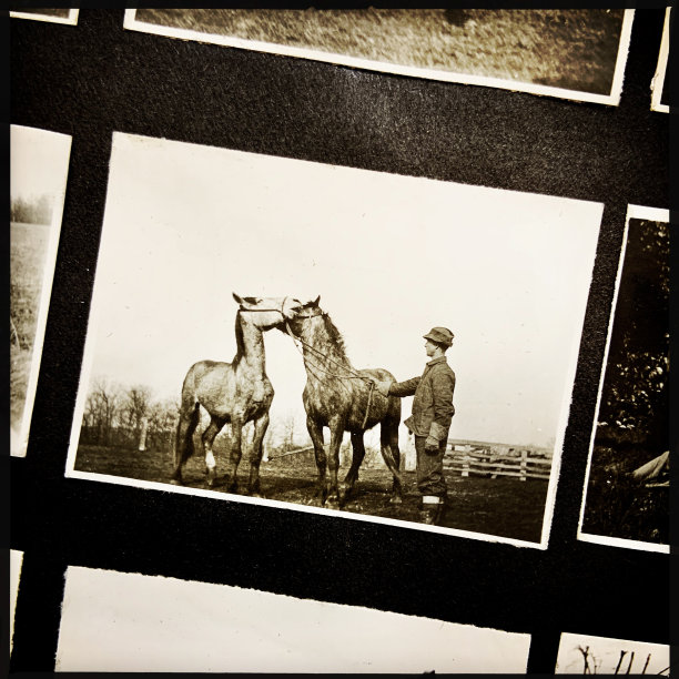 1916