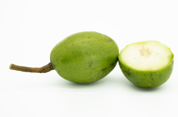spondias
