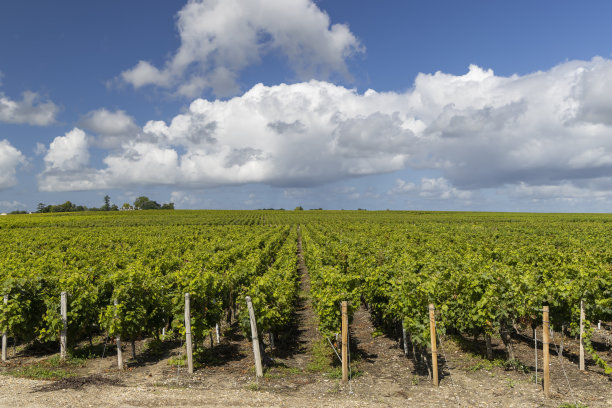 bordeaux