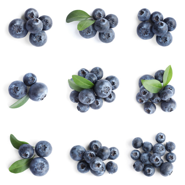 ericaceae