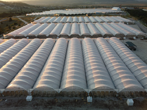 greenhouse