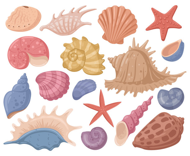 conch