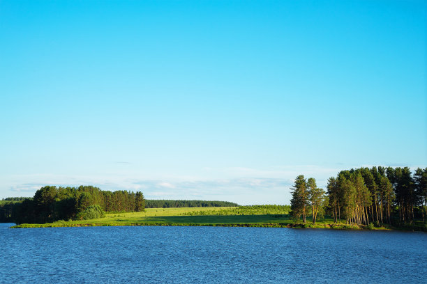户外蓝天白云草地树林图片