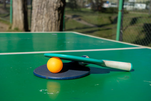 乒乓球拍,健康生活方式,竞技运动