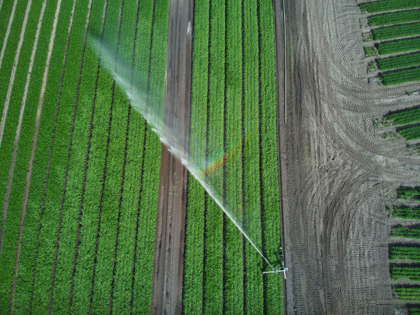 irrigation