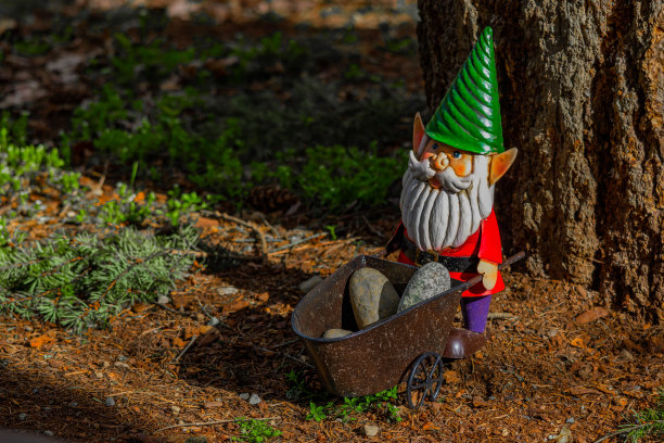 gnome