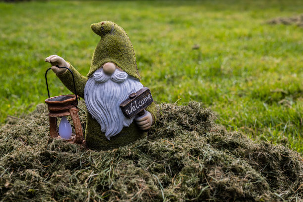 gnome
